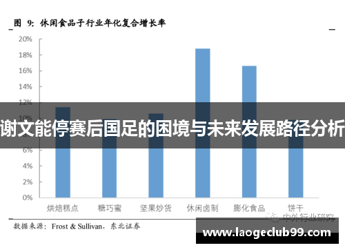 谢文能停赛后国足的困境与未来发展路径分析